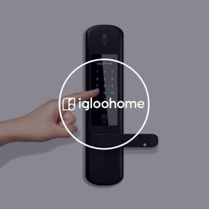 Logo-Igloohome