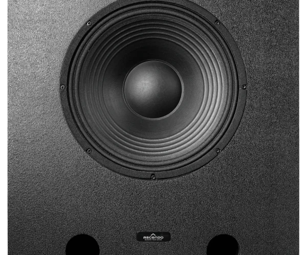 THE15 SUB PASSIVE VENTED (1)